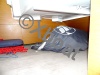 Fiche technique SUN ODYSSEY 30I DL